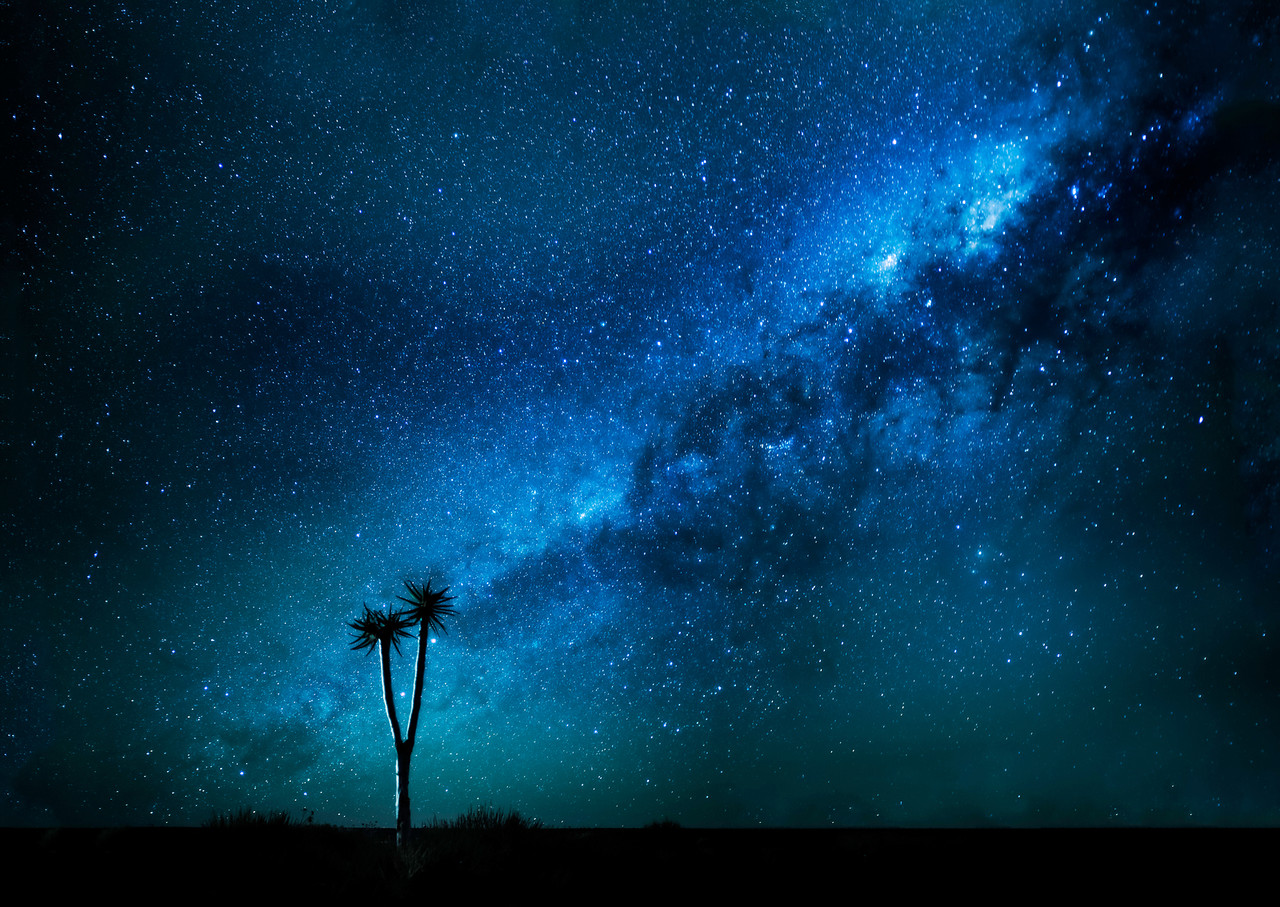 Quiver Tree Milky Way-X2